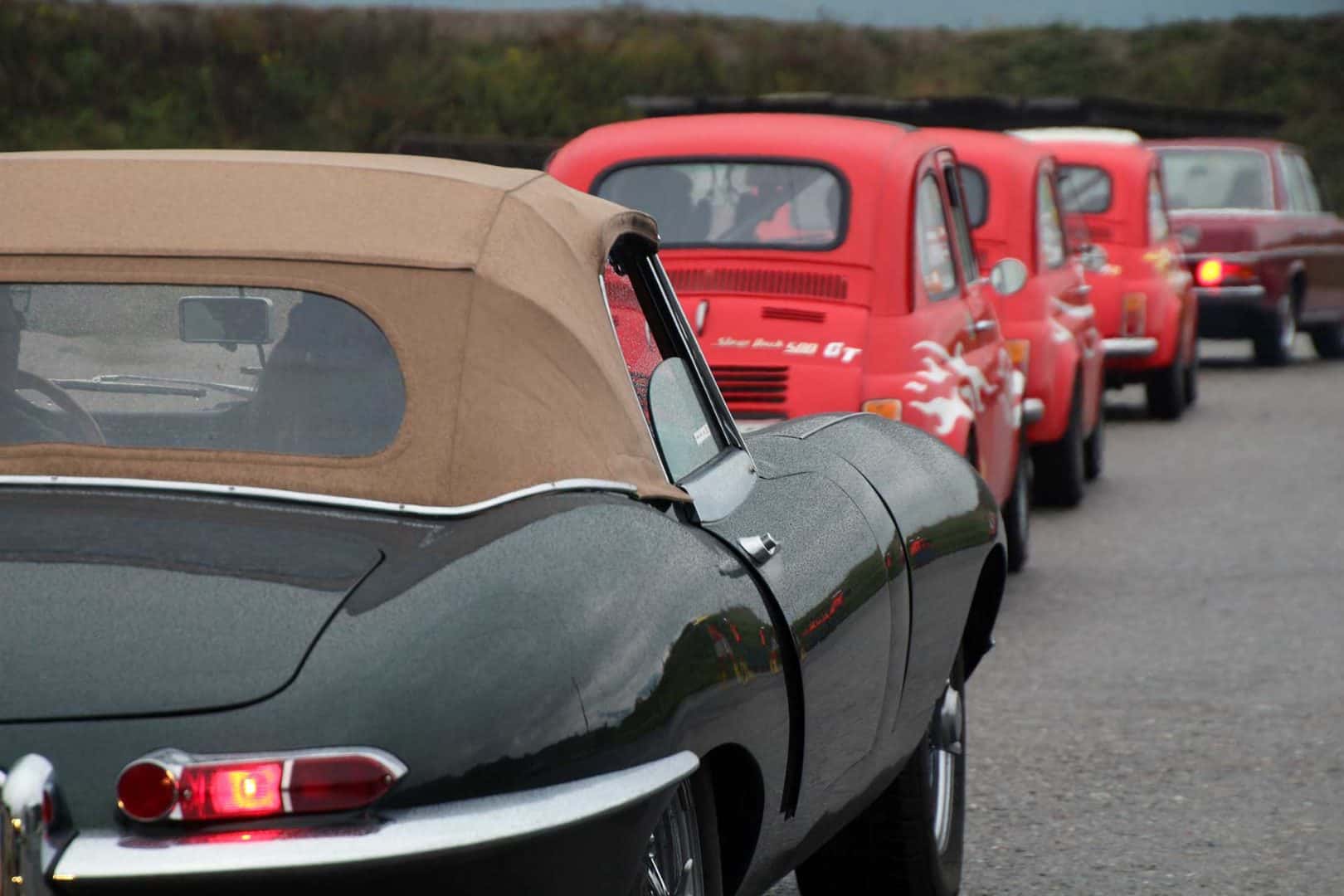TAFRENT-Classic-Sprint